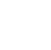 airplane icon